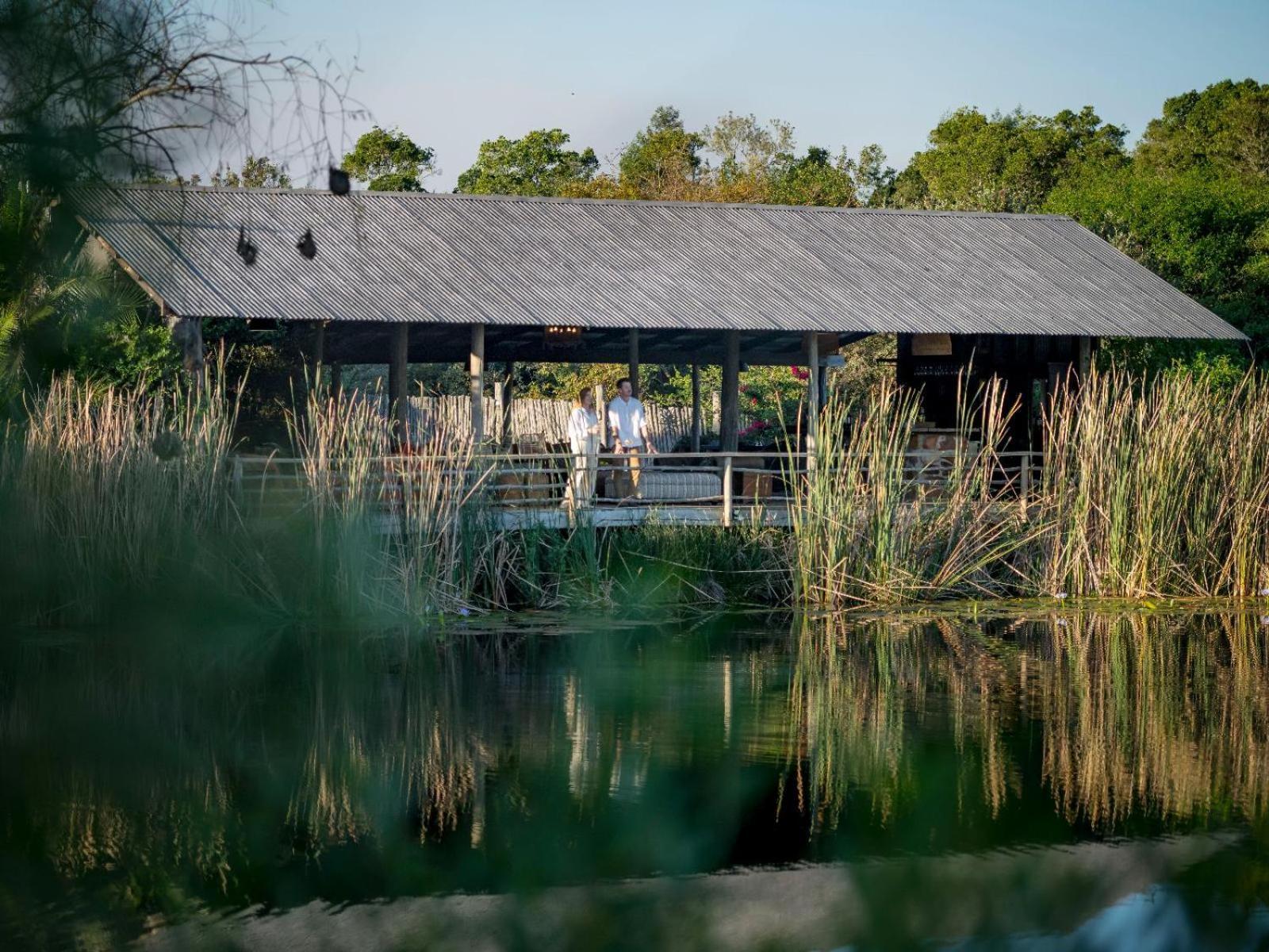 Belle Balance Bush Lodge Plettenberg Bay Exterior photo